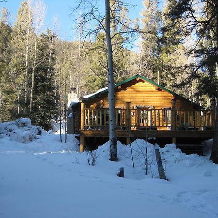 Cabin By The Creek With High Speed Wifi Red River Dış mekan fotoğraf