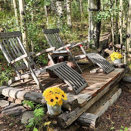 Cabin By The Creek With High Speed Wifi Red River Dış mekan fotoğraf