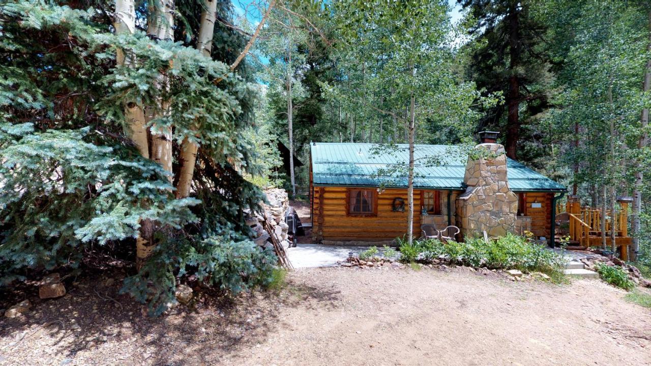 Cabin By The Creek With High Speed Wifi Red River Dış mekan fotoğraf