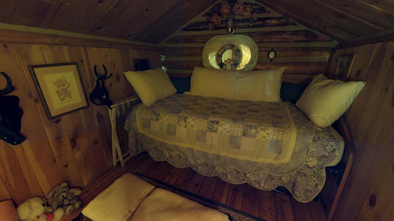 Cabin By The Creek With High Speed Wifi Red River Dış mekan fotoğraf
