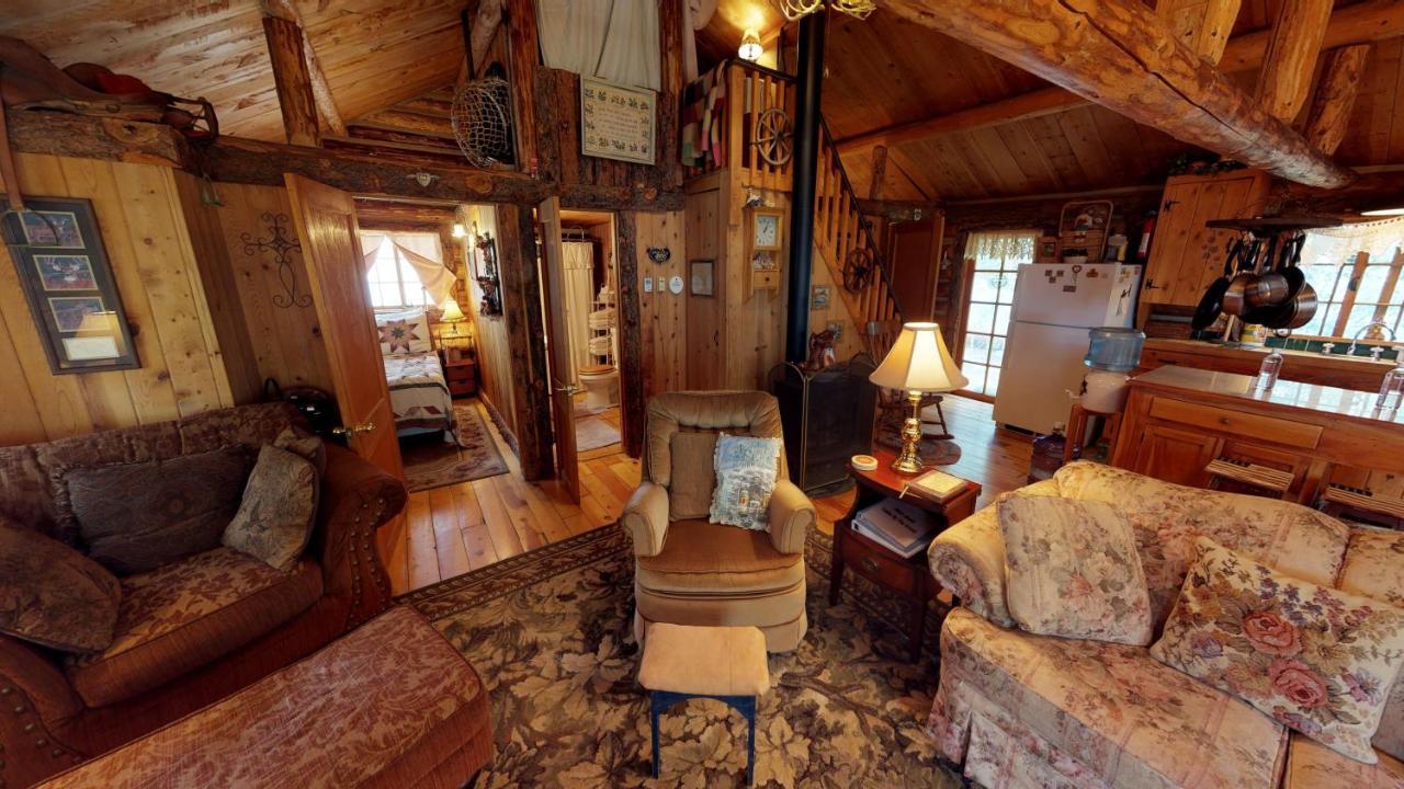 Cabin By The Creek With High Speed Wifi Red River Dış mekan fotoğraf