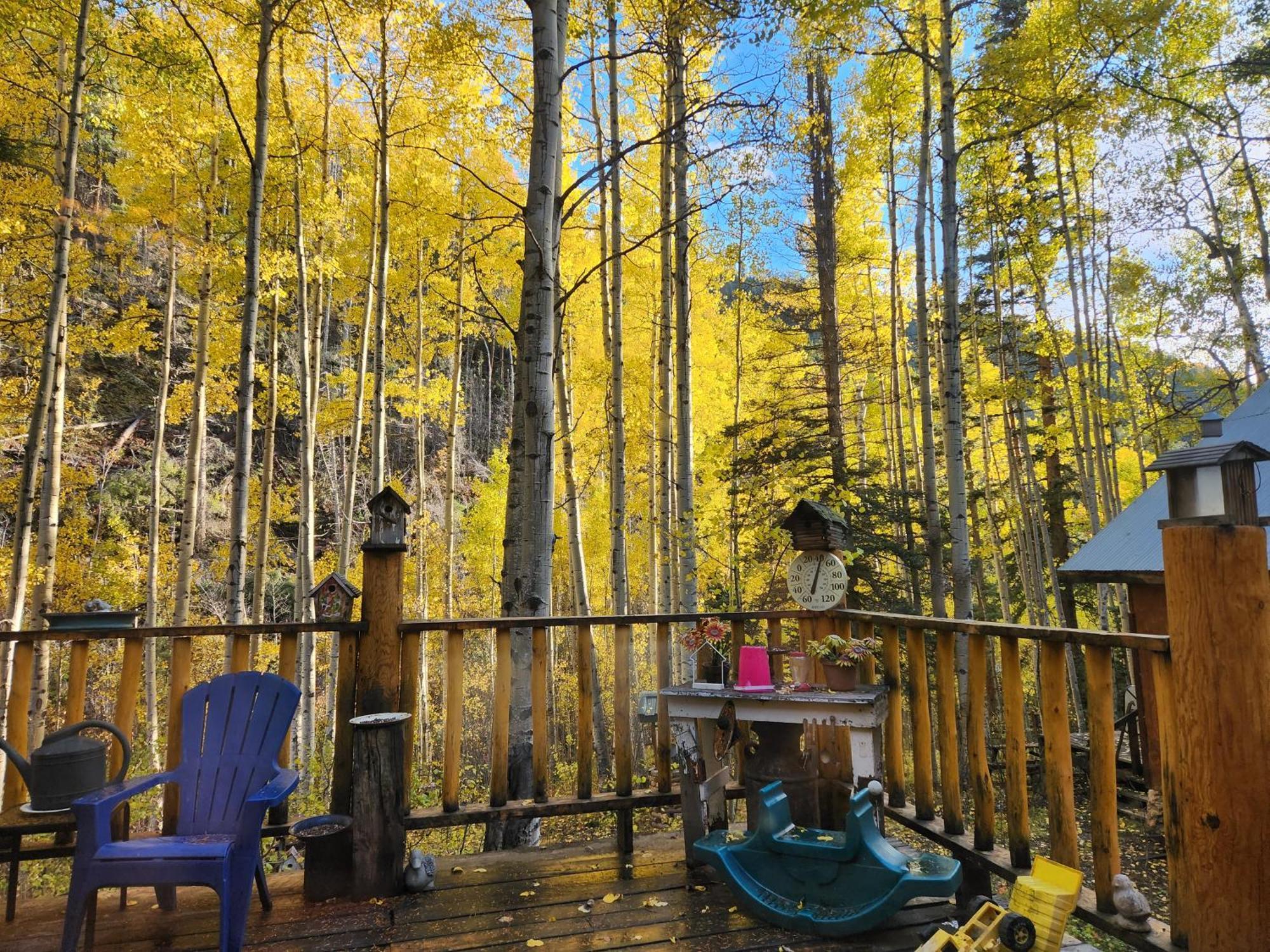 Cabin By The Creek With High Speed Wifi Red River Dış mekan fotoğraf